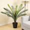 2ft. Premade Potted Sago Palm Plant by Ashland®